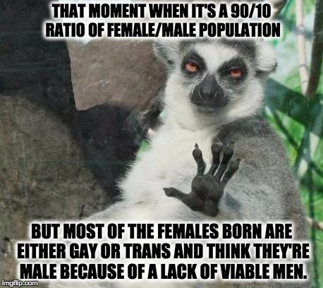 Stoner Lemur | THAT MOMENT WHEN IT'S A 90/10 RATIO OF FEMALE/MALE POPULATION BUT MOST OF THE FEMALES BORN ARE EITHER GAY OR TRANS AND THINK THEY'RE MALE BE | image tagged in memes,stoner lemur | made w/ Imgflip meme maker