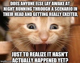 Excited Cat | DOES ANYONE ELSE LAY AWAKE AT NIGHT RUNNING THROUGH A SCENARIO IN THEIR HEAD AND GETTING REALLY EXCITED, JUST TO REALIZE IT HASN'T ACTUALLY  | image tagged in memes,excited cat | made w/ Imgflip meme maker