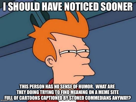 Futurama Fry Meme | I SHOULD HAVE NOTICED SOONER THIS PERSON HAS NO SENSE OF HUMOR.  WHAT ARE THEY DOING TRYING TO FIND MEANING ON A MEME SITE FULL OF CARTOONS  | image tagged in memes,futurama fry | made w/ Imgflip meme maker