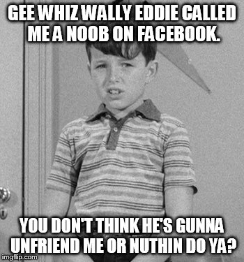 Leave It To Beaver social media edition.  | GEE WHIZ WALLY EDDIE CALLED ME A NOOB ON FACEBOOK. YOU DON'T THINK HE'S GUNNA UNFRIEND ME OR NUTHIN DO YA? | image tagged in memes,funny,leave it to beaver | made w/ Imgflip meme maker
