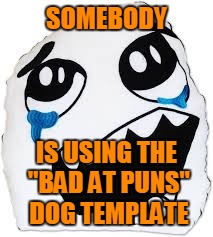 SOMEBODY IS USING THE "BAD AT PUNS" DOG TEMPLATE | made w/ Imgflip meme maker