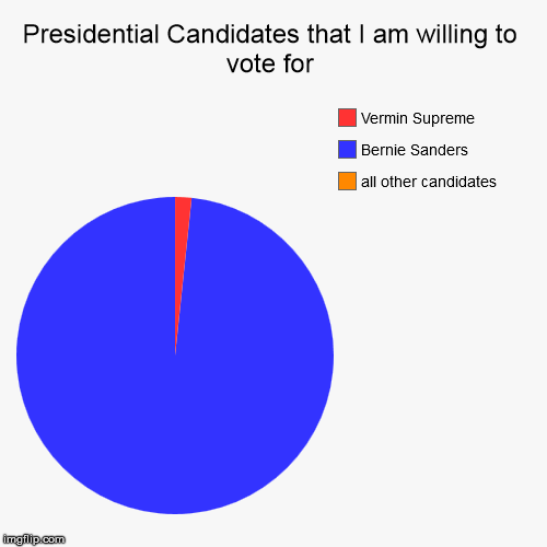 A vote for anyone but Bernie is a vote wasted, but i would waste my vote on Vermin Supreme above all others | image tagged in pie charts,politics,feel the bern,bernie sanders,election 2016 | made w/ Imgflip chart maker