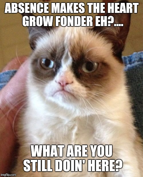 Grumpy Cat Meme | ABSENCE MAKES THE HEART GROW FONDER EH?.... WHAT ARE YOU STILL DOIN' HERE? | image tagged in memes,grumpy cat | made w/ Imgflip meme maker