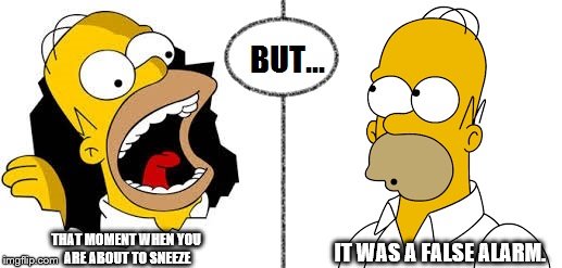 The most awkward moment in life is when... | THAT MOMENT WHEN YOU ARE ABOUT TO SNEEZE IT WAS A FALSE ALARM. | image tagged in homer simpson,funny memes | made w/ Imgflip meme maker