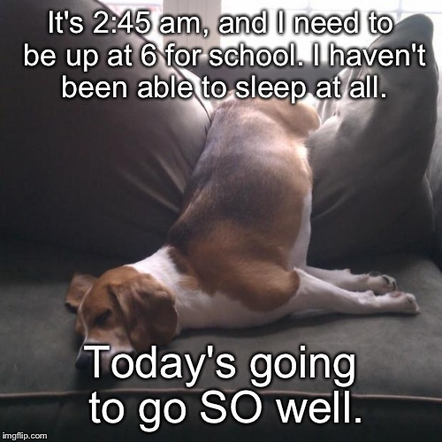 Tired pup  | It's 2:45 am, and I need to be up at 6 for school. I haven't been able to sleep at all. Today's going to go SO well. | image tagged in tired pup | made w/ Imgflip meme maker