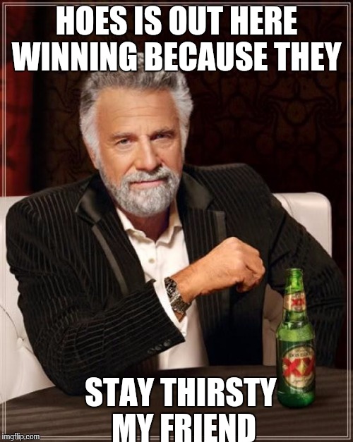 The Most Interesting Man In The World Meme | HOES IS OUT HERE WINNING BECAUSE THEY STAY THIRSTY MY FRIEND | image tagged in memes,the most interesting man in the world | made w/ Imgflip meme maker