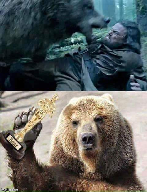 Poor Leo | LEGEND OF THE BEAR | image tagged in leonardo,bear,oscar | made w/ Imgflip meme maker