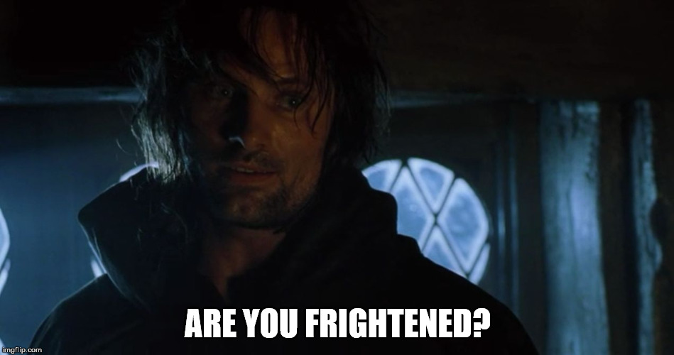 ARE YOU FRIGHTENED? | image tagged in aragorn - are you frightened | made w/ Imgflip meme maker