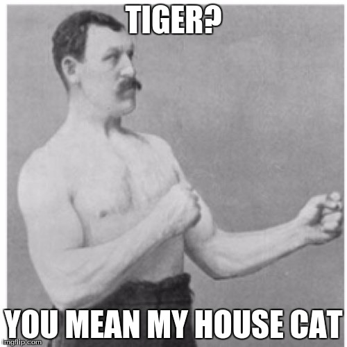 Overly Manly Man | TIGER? YOU MEAN MY HOUSE CAT | image tagged in memes,overly manly man | made w/ Imgflip meme maker