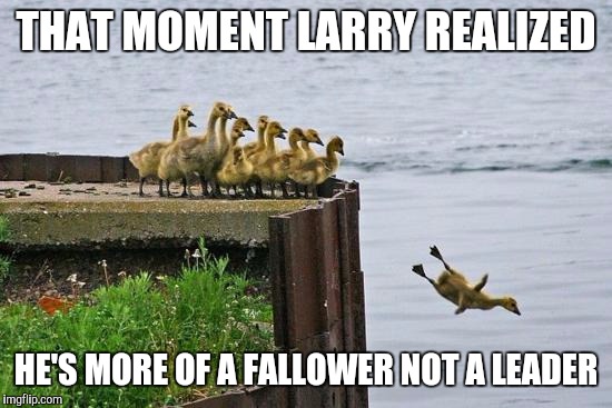 Hey guys fallow me. Guys?....Guys? | THAT MOMENT LARRY REALIZED HE'S MORE OF A FALLOWER NOT A LEADER | image tagged in memes | made w/ Imgflip meme maker