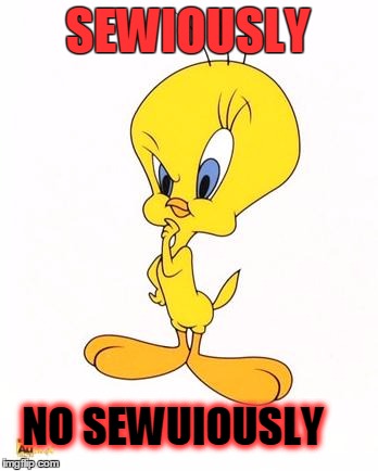 tweety | SEWIOUSLY NO SEWUIOUSLY | image tagged in tweety | made w/ Imgflip meme maker
