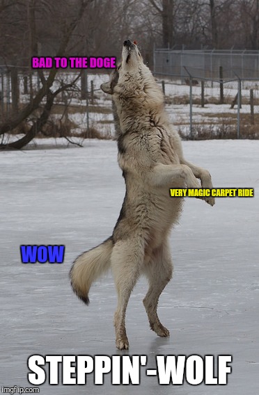 Steppenwolf | VERY MAGIC CARPET RIDE STEPPIN'-WOLF WOW BAD TO THE DOGE | image tagged in doge,wolf,music | made w/ Imgflip meme maker