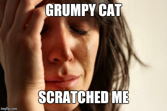 First World Problems Meme | GRUMPY CAT SCRATCHED ME | image tagged in memes,first world problems | made w/ Imgflip meme maker