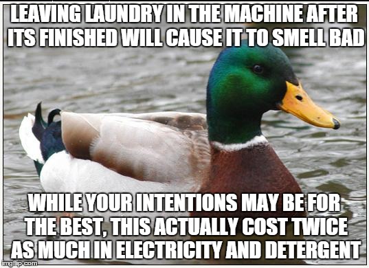 Actual Advice Mallard | LEAVING LAUNDRY IN THE MACHINE AFTER ITS FINISHED WILL CAUSE IT TO SMELL BAD WHILE YOUR INTENTIONS MAY BE FOR THE BEST, THIS ACTUALLY COST T | image tagged in memes,actual advice mallard | made w/ Imgflip meme maker