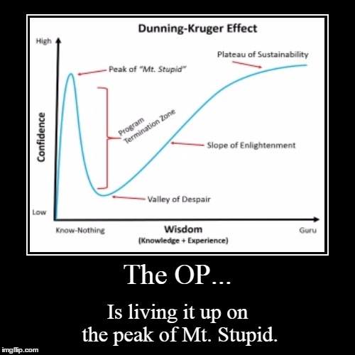 Mt. Stupid. | image tagged in funny,demotivationals | made w/ Imgflip demotivational maker