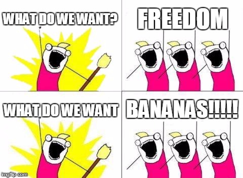 What Do We Want | WHAT DO WE WANT? FREEDOM WHAT DO WE WANT BANANAS!!!!! | image tagged in memes,what do we want | made w/ Imgflip meme maker