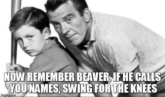 NOW REMEMBER BEAVER, IF HE CALLS YOU NAMES, SWING FOR THE KNEES | made w/ Imgflip meme maker
