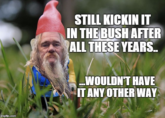 STILL KICKIN IT IN THE BUSH AFTER ALL THESE YEARS.. ...WOULDN'T HAVE IT ANY OTHER WAY | made w/ Imgflip meme maker