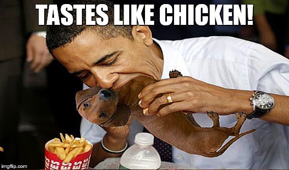 TASTES LIKE CHICKEN! | made w/ Imgflip meme maker