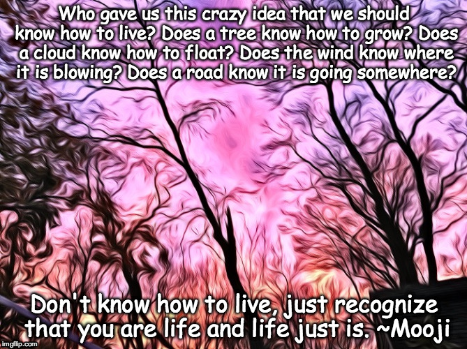 Live, You are life! | Who gave us this crazy idea that we should know how to live? Does a tree know how to grow? Does a cloud know how to float? Does the wind kno | image tagged in spiritual,life | made w/ Imgflip meme maker