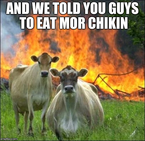 Evil Cows Meme | AND WE TOLD YOU GUYS TO EAT MOR CHIKIN | image tagged in memes,evil cows | made w/ Imgflip meme maker