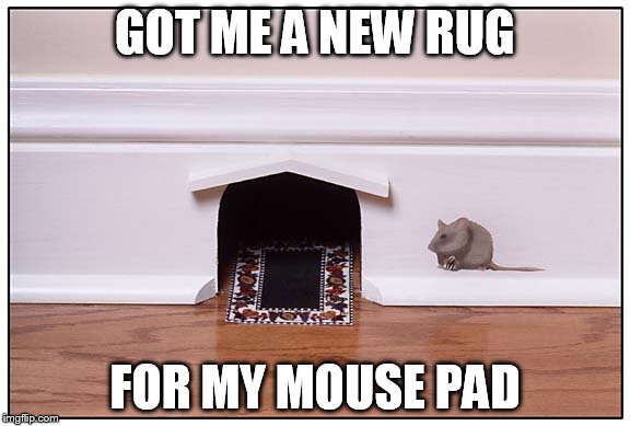 'mouse pad' | GOT ME A NEW RUG FOR MY MOUSE PAD | image tagged in mouse | made w/ Imgflip meme maker