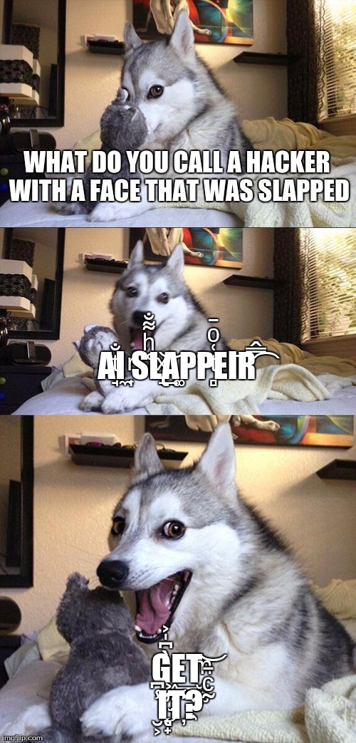 Bad Pun Dog Meme | WHAT DO YOU CALL A HACKER WITH A FACE THAT WAS SLAPPED A̘ͭ̐Ι̼ ͎ͬS̛͑ͪ͌̐L̢ͯ͢͝A͚P̛P̻ͭ͑ͦ̄EΙ͞R̿͡͏̂ G͖̀͆̍͐E̲͏T̫̯̫ͫ͝ ̮͕̾͆Į͉̟̕T҉̾?̃ͨ̄ | image tagged in memes,bad pun dog | made w/ Imgflip meme maker