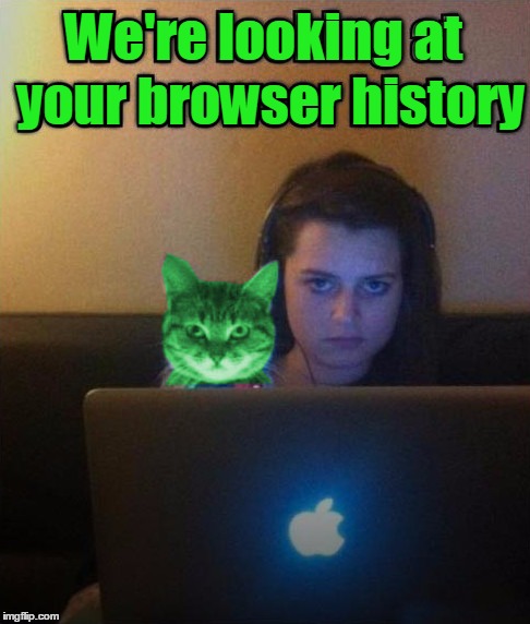 It's not looking good for you... | We're looking at your browser history | image tagged in memes,browser history | made w/ Imgflip meme maker