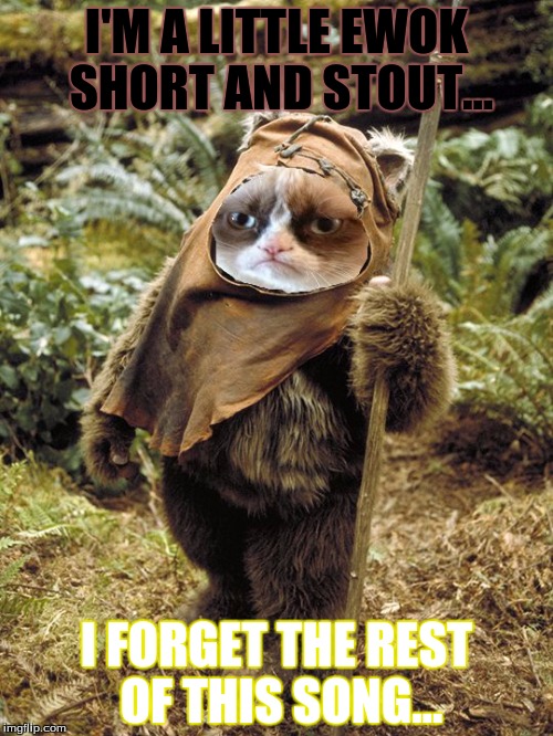 Grumpy Ewok | I'M A LITTLE EWOK SHORT AND STOUT... I FORGET THE REST OF THIS SONG... | image tagged in grumpy ewok | made w/ Imgflip meme maker