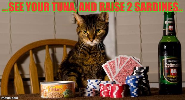 ...SEE YOUR TUNA, AND RAISE 2 SARDINES.. | image tagged in poker face | made w/ Imgflip meme maker