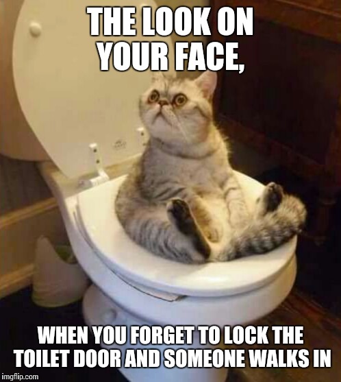 When you forget to lock the door... | THE LOOK ON YOUR FACE, WHEN YOU FORGET TO LOCK THE TOILET DOOR AND SOMEONE WALKS IN | image tagged in memes,funny memes,toilet,toilet cat | made w/ Imgflip meme maker