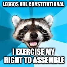 raccoon | LEGGOS ARE CONSTITUTIONAL I EXERCISE MY RIGHT TO ASSEMBLE | image tagged in raccoon | made w/ Imgflip meme maker