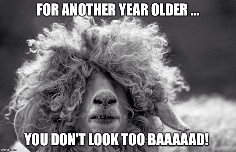 Sheeping Yet? | FOR ANOTHER YEAR OLDER ... YOU DON'T LOOK TOO BAAAAAD! | image tagged in sheeping yet | made w/ Imgflip meme maker