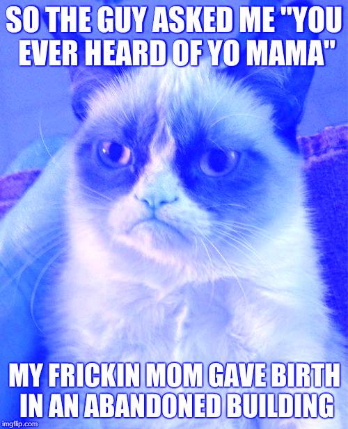 Grumpy Cat | SO THE GUY ASKED ME "YOU EVER HEARD OF YO MAMA" MY FRICKIN MOM GAVE BIRTH IN AN ABANDONED BUILDING | image tagged in memes,grumpy cat | made w/ Imgflip meme maker