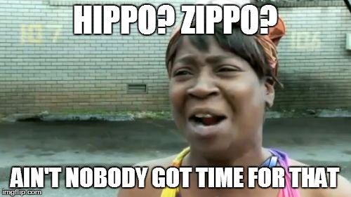 Ain't Nobody Got Time For That Meme | HIPPO? ZIPPO? AIN'T NOBODY GOT TIME FOR THAT | image tagged in memes,aint nobody got time for that | made w/ Imgflip meme maker