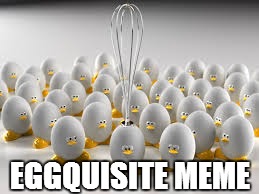 EGGQUISITE MEME | made w/ Imgflip meme maker