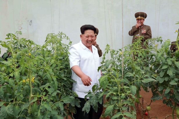 Kim Jong Un Weed Blank Meme Template