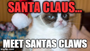 Santa puss | SANTA CLAUS... MEET SANTAS CLAWS | image tagged in grumpy cat,santa | made w/ Imgflip meme maker