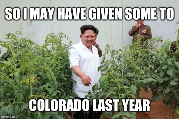Kim Jong Un Weed | SO I MAY HAVE GIVEN SOME TO COLORADO LAST YEAR | image tagged in kim jong un weed | made w/ Imgflip meme maker