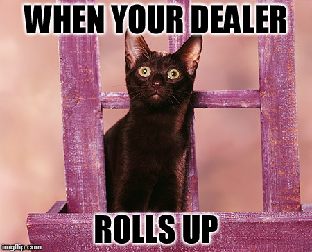 derp deal | WHEN YOUR DEALER ROLLS UP | image tagged in weed,420 | made w/ Imgflip meme maker