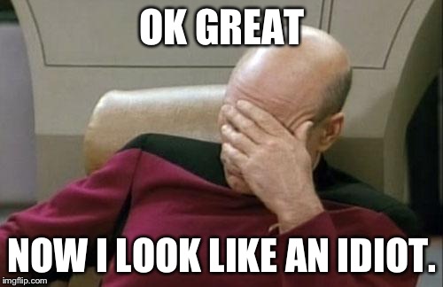 Captain Picard Facepalm Meme | OK GREAT NOW I LOOK LIKE AN IDIOT. | image tagged in memes,captain picard facepalm | made w/ Imgflip meme maker