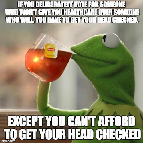 But That's None Of My Business | IF YOU DELIBERATELY VOTE FOR SOMEONE WHO WON'T GIVE YOU HEALTHCARE OVER SOMEONE WHO WILL, YOU HAVE TO GET YOUR HEAD CHECKED. EXCEPT YOU CAN' | image tagged in memes,but thats none of my business,kermit the frog | made w/ Imgflip meme maker