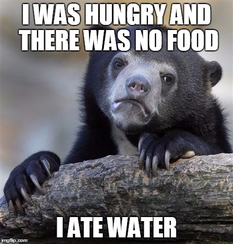 Confession Bear Meme | I WAS HUNGRY AND THERE WAS NO FOOD I ATE WATER | image tagged in memes,confession bear | made w/ Imgflip meme maker