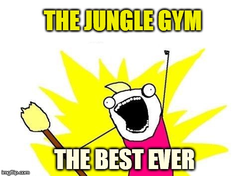 X All The Y Meme | THE JUNGLE GYM THE BEST EVER | image tagged in memes,x all the y | made w/ Imgflip meme maker