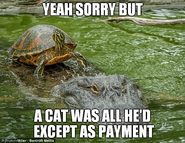 YEAH SORRY BUT A CAT WAS ALL HE'D EXCEPT AS PAYMENT | made w/ Imgflip meme maker