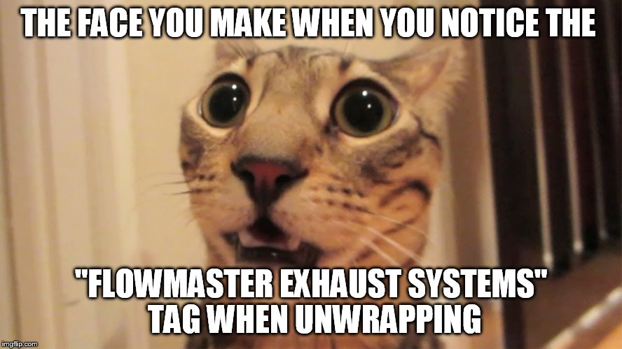 Exhaust cat | THE FACE YOU MAKE WHEN YOU NOTICE THE "FLOWMASTER EXHAUST SYSTEMS" TAG WHEN UNWRAPPING | image tagged in cat,face | made w/ Imgflip meme maker