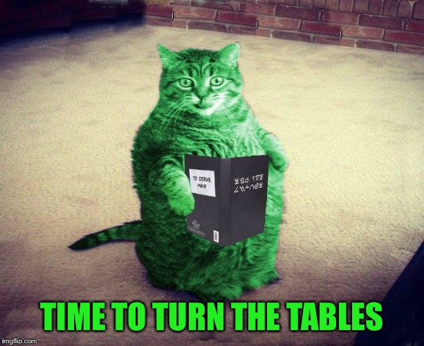 Best RayCat Meme Eva | TIME TO TURN THE TABLES | image tagged in best raycat meme eva | made w/ Imgflip meme maker