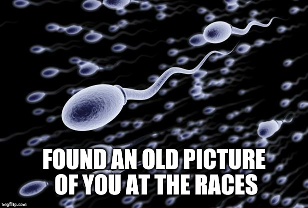 sperm swimming | FOUND AN OLD PICTURE OF YOU AT THE RACES | image tagged in sperm swimming | made w/ Imgflip meme maker