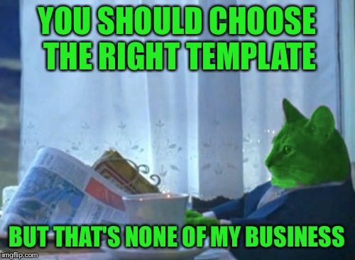 I Should Buy a Boat RayCat | YOU SHOULD CHOOSE THE RIGHT TEMPLATE BUT THAT'S NONE OF MY BUSINESS | image tagged in i should buy a boat raycat | made w/ Imgflip meme maker