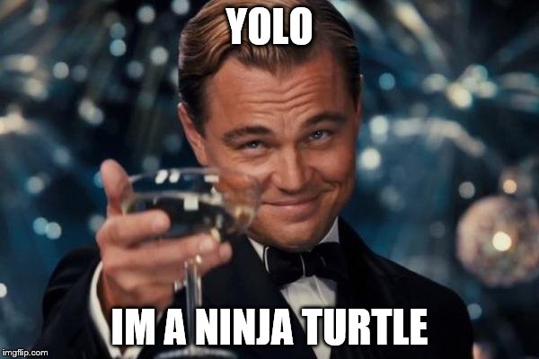 Leonardo Dicaprio Cheers Meme | YOLO IM A NINJA TURTLE | image tagged in memes,leonardo dicaprio cheers | made w/ Imgflip meme maker